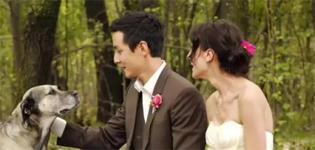 你会像吴彦祖一样,因为老婆喜欢马术,在购物清单上要给她买匹马么? 青马网大陆马 (4).jpg