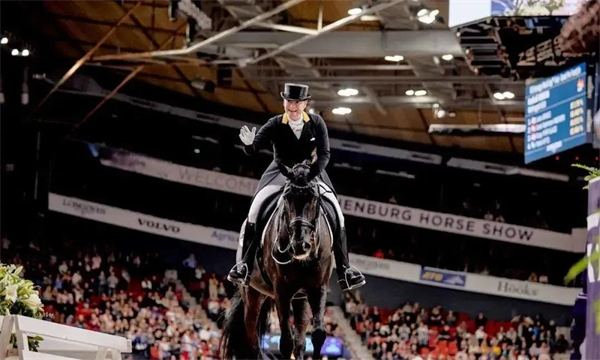 17岁马术世界杯三冠王“黑美人”正式退役 大陆马 (2).jpg