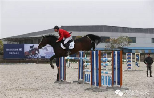 《每周马闻播报》四月第2周:武汉悉尼刮起中国赛马风(视频)6.jpg