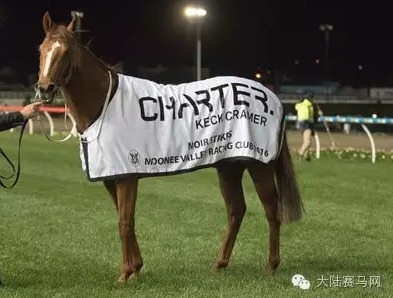 国庆大逆转:CHC“极选”反超7匹马勇夺50万澳币一级赛冠军 大陆赛马网2.jpg