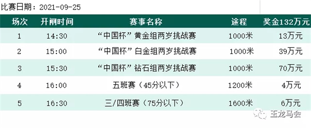 玉龙马业,国产马赛事,玉龙公开赛,赛马,马术,玉龙赛马 (1).jpg