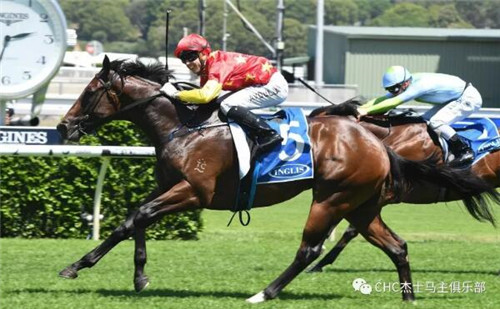 CHC杰士马主俱乐部赛驹闪耀澳洲赛场:三天狂揽四冠5.jpg