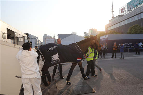 2017上海浪琴环球马术冠军赛首批赛马今晨抵沪4.jpg