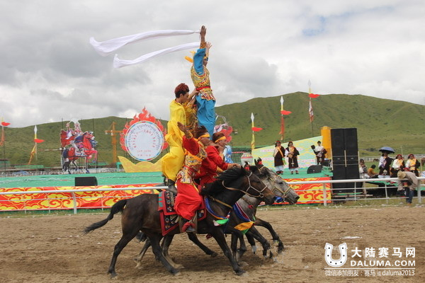 红原藏族男儿秀马术 民运会多次夺冠3.jpg