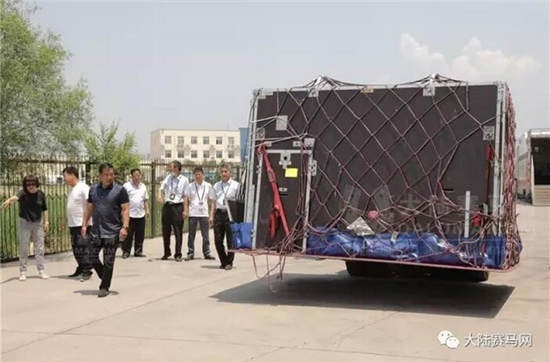 玉龙马业81匹澳洲纯血马包机抵达太原机场:创山西进口马匹历史13.jpg