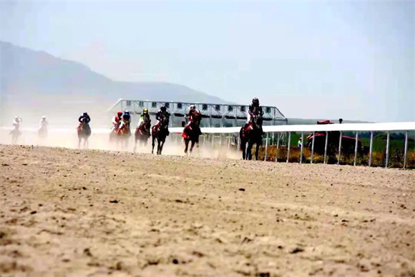 首届“红朗姆杯”速度赛马比赛开赛在即!报名通道正式开启 大陆马 (1).jpg