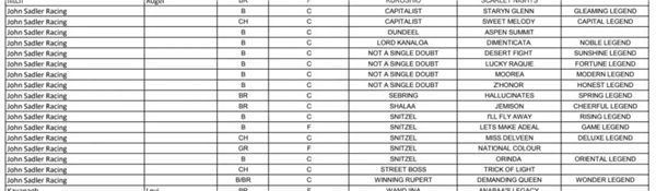 数百匹马已提前报名澳大利亚一级赛蓝钻锦标 大陆赛马网 (1).jpg