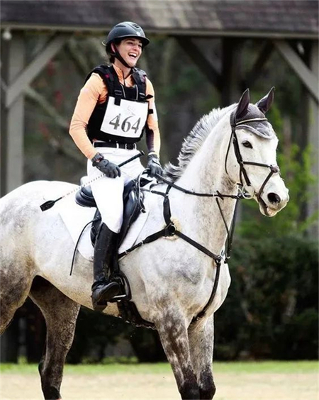 青马课堂丨马术骑手应该遵守的八个准则 大陆马.jpg