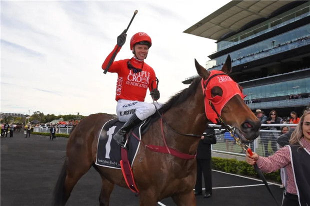 澳洲赛马史奖金第二多、前两届巅峰赛冠军“红达时”功成身退 大陆赛马网 (1).jpg