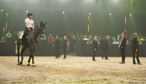 19匹马超2300万成交额!全球顶级温血马拍卖会完美收官! 大陆马 (18).png