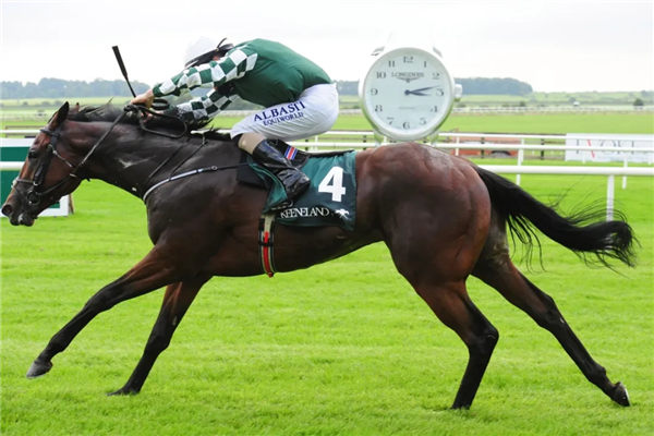 玉龙马业喜迎首个一级赛冠军!2岁公马“玉龙幸运维加”勇夺爱尔兰凤凰锦标 大陆赛马网 (2).jpg