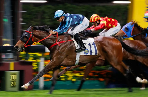 曾志伟爱驹爆冷进前三!“表表马”一路绝尘差点问鼎百万奖金赛马冠军 大陆赛马网 (3).jpg