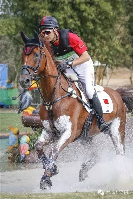《马上聚焦》3分钟中国马术三项赛视频帮你了解奥运会三项赛5.jpg