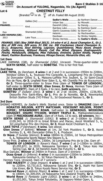 日澳买家争相抢购!玉龙三匹周岁马在澳洲售出600万高价 大陆赛马网.jpg