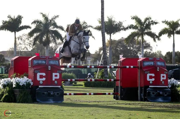 比利时双胞胎明星骑手登顶冬季马术节2.5万美元奖金大奖赛 大陆马.jpg