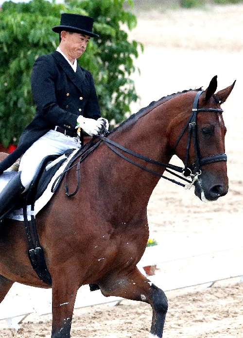 贾海涛 2014中国马术巡回赛北京站盛装舞步骑手介绍