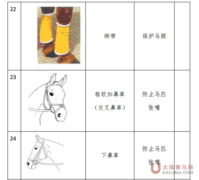 马术项目骑手分级管理实施细则6.jpg