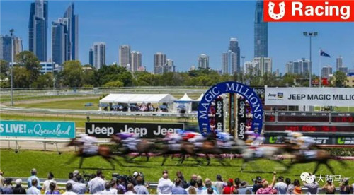 三匹赛驹冲击千万赛事冠军:澳洲Aquis雅士牧场频出亮眼大招1.jpg