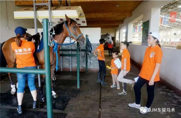 2019年全国青少年马术“造星梦工厂”——沈阳东骏马术夏令营开营啦! 青马网大陆马 (5).jpg