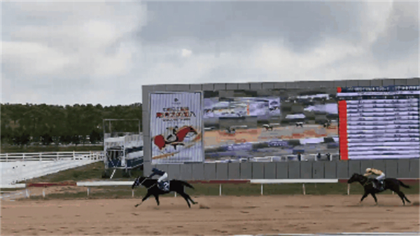 全新出炉!2022玉龙国际赛马公开赛5月【练马师、骑师排名】 大陆马 (1)_副本.jpg