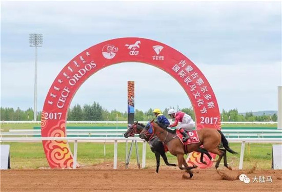 驭者∙无界:2017CECF内蒙古鄂尔多斯国际驭马文化圆满落幕16.jpg