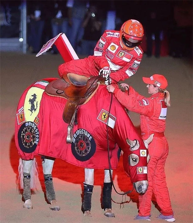 国家发布“一盔一带”,头盔价格暴涨!马术头盔市场总额2025年将达6亿 青马网大陆马 (3).jpg