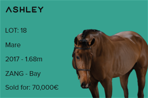 19匹马超2300万成交额!全球顶级温血马拍卖会完美收官! 大陆马 (12).png