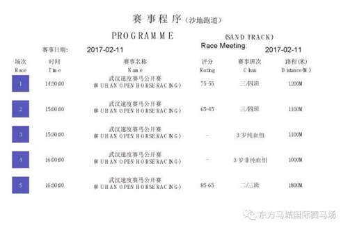 2017武汉速度赛马公开赛元宵节开锣
：62赛驹出赛阵容强大