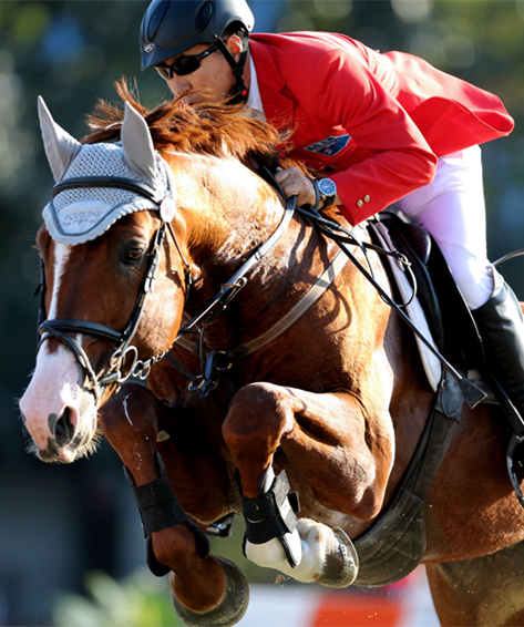 2014中国马术巡回赛北京站国内专业骑手介绍刘同晏 大陆赛马网.jpg