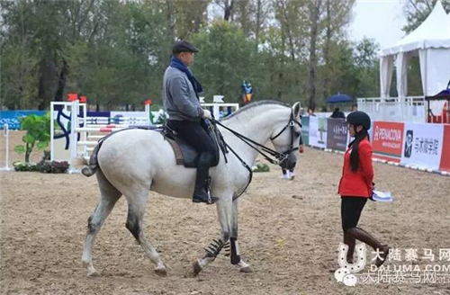 《马上聚焦》司马明:时隔30年重上马背 将古典马术搬上春晚舞台2.jpg