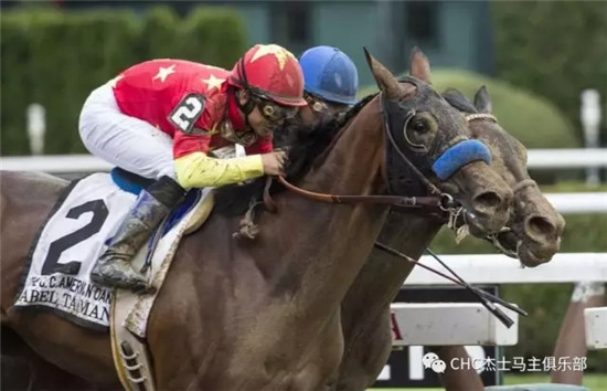 翻家谱,神奇基因起作用!CHC三岁雌马“探险家”连夺三场G1冠军.webp (1).jpg