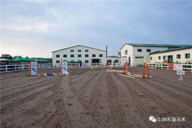 2019年全国青少年马术“造星梦工厂”——沈阳东骏马术夏令营开营啦! 青马网大陆马 (8).jpg