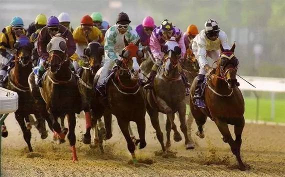 2016第三届内蒙古(国际)马术节9月24将盛大开幕 5.jpg