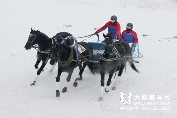 俄式三套车:500年前就出现的独特俄罗斯套车方式 大陆赛马网.jpg