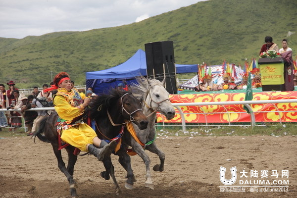 红原藏族男儿秀马术 民运会多次夺冠2.jpg