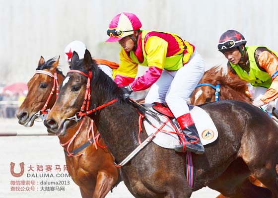 博湖县第四届“博斯腾杯”赛马大会盛大开幕 大陆赛马网.jpg