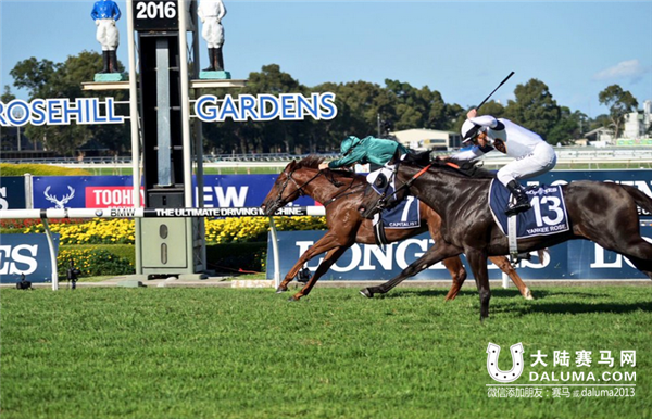 “资本家”夺得金拖鞋大赛冠军 中国军团5赛驹出战引关注