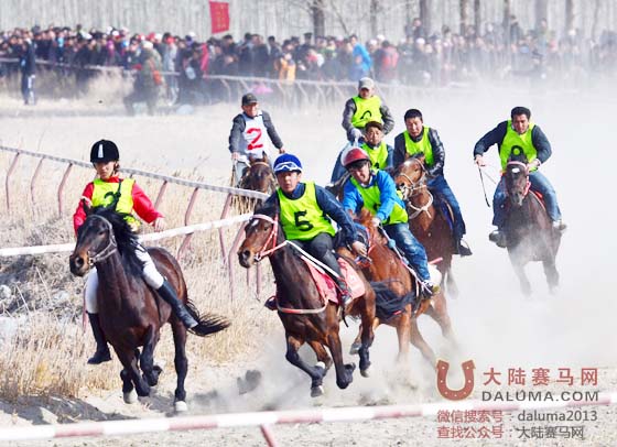 博湖县第四届“博斯腾杯”赛马大会盛大开幕 大陆赛马网2.jpg