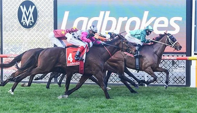 砀山耐力赛9月归来!京华兴马业考察酒泉国际马术休闲公园项目 (4).jpg