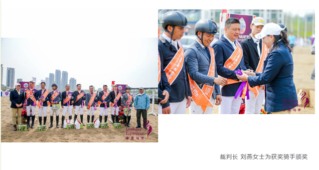 鸟巢之路,俱乐部,人马组合,赛马,马术 大陆赛马网 (4).png