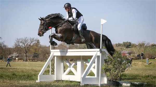 瑞士62岁业余骑手赢得团体三项赛国家杯 大陆马.jpg