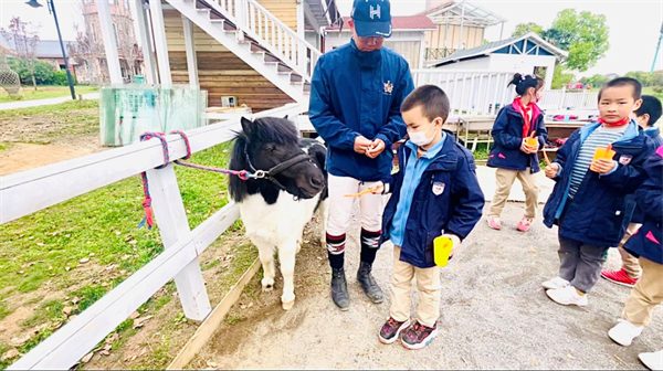 青马·校园马术社团 大陆马陪伴小小骑士一路成长! 大陆马 (3).png