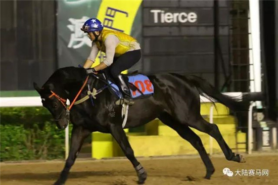 曾志伟11岁爱驹“品自高”老当益壮再夺冠-大陆赛马网.jpg