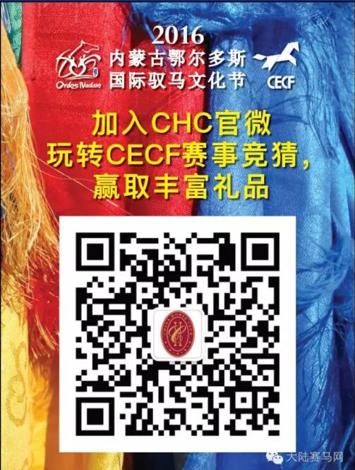 三大洲六大直播平台四小时同步直播2016鄂尔多斯驭马文化节.jpg