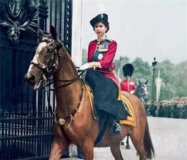 96岁英国女王,爱牠爱了92年! 大陆马 (4).jpg