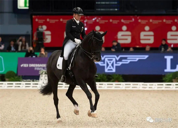 青马课堂:盛装舞步骑手着装--燕尾服 大陆马 (2).jpg