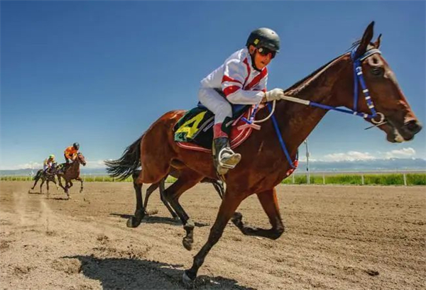 新疆马产业将“跑出”200亿!大陆马 (6).jpg