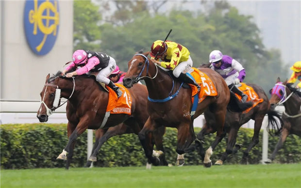 史上首位靠骑马一年赚了1亿奖金的中国人 大陆赛马网 (6).jpg