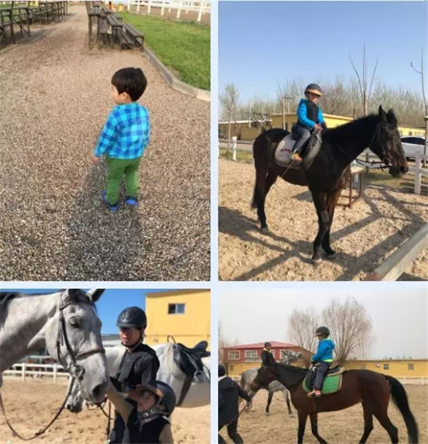 儿子和马术,CKUR中联骑士联盟马主陈齐收到的两份“生命之礼” 青马网大陆马 (1).jpg