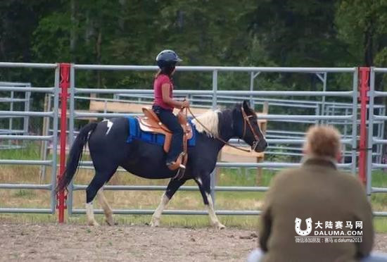 学习马术可以收获什么? 马儿教给我们的12条戒律 大陆赛马网.jpg